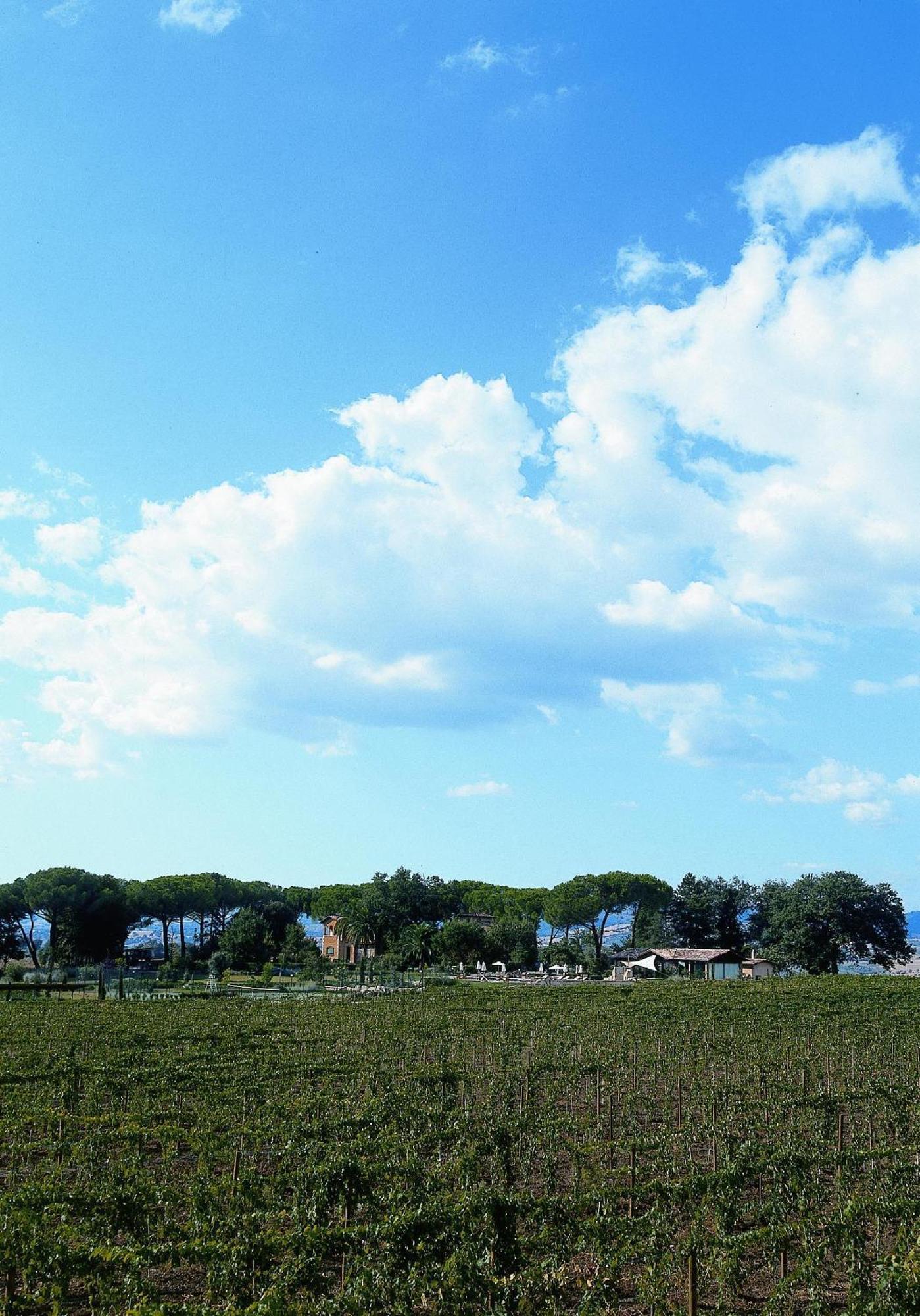 Villa Acquaviva Wine Resort Монтемерано Экстерьер фото