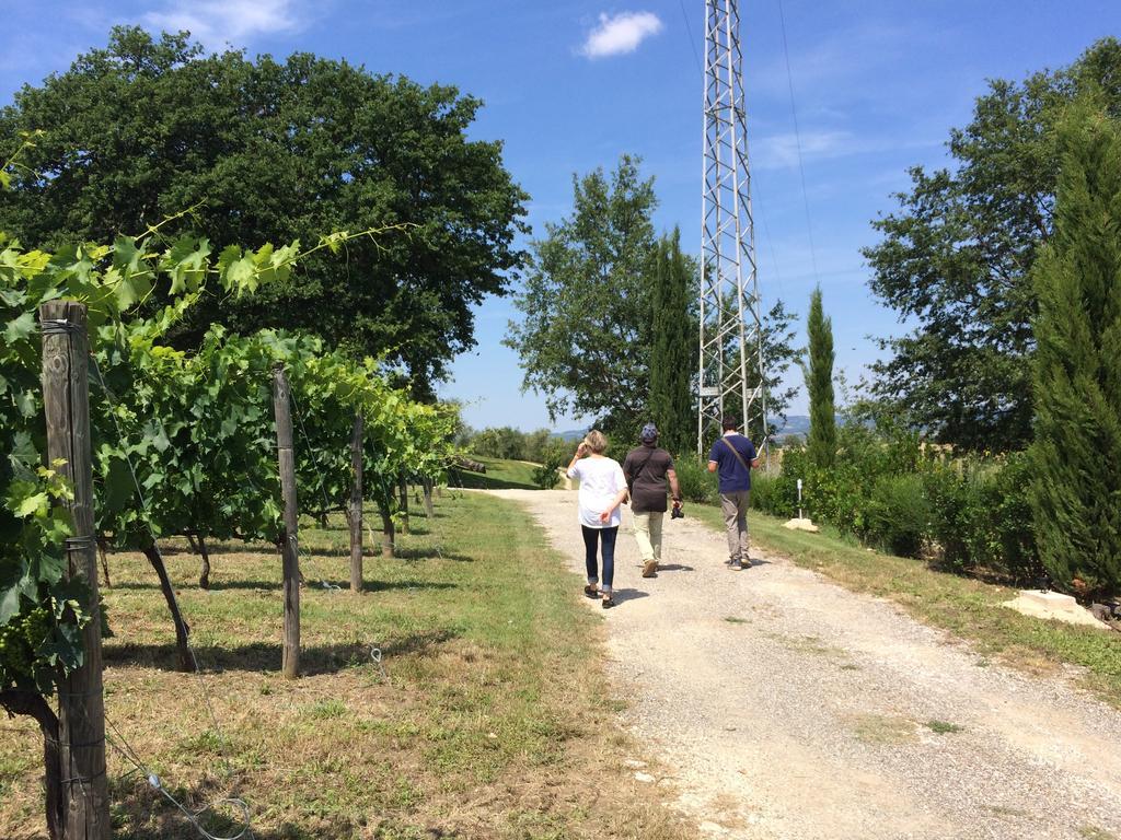 Villa Acquaviva Wine Resort Монтемерано Экстерьер фото