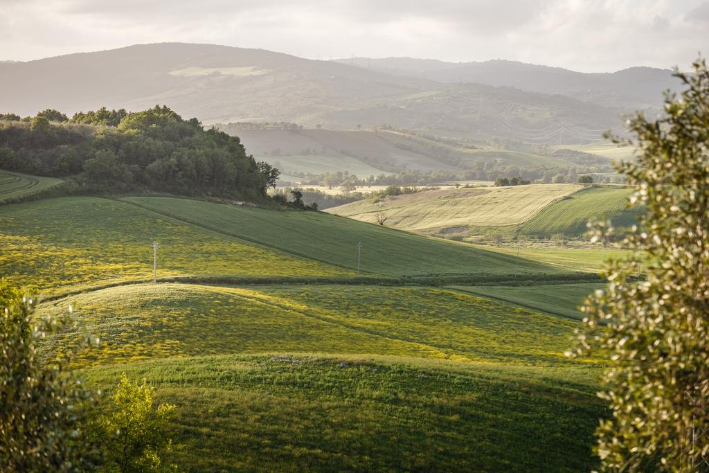 Villa Acquaviva Wine Resort Монтемерано Экстерьер фото