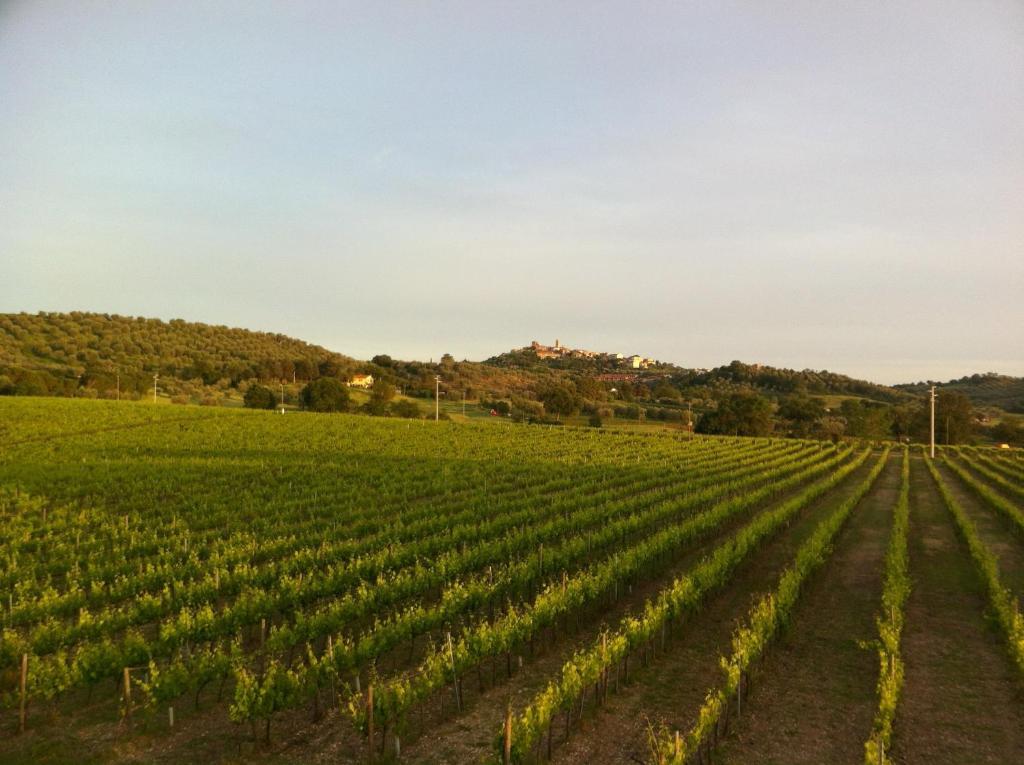 Villa Acquaviva Wine Resort Монтемерано Экстерьер фото